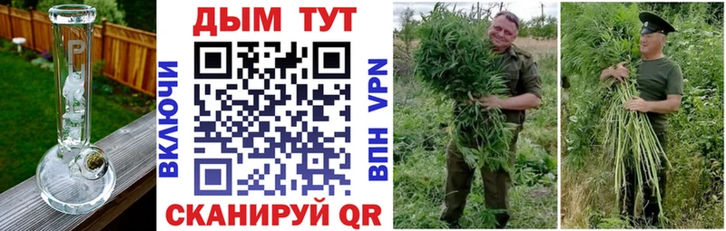 Бошки Шишки VHQ Волгодонск